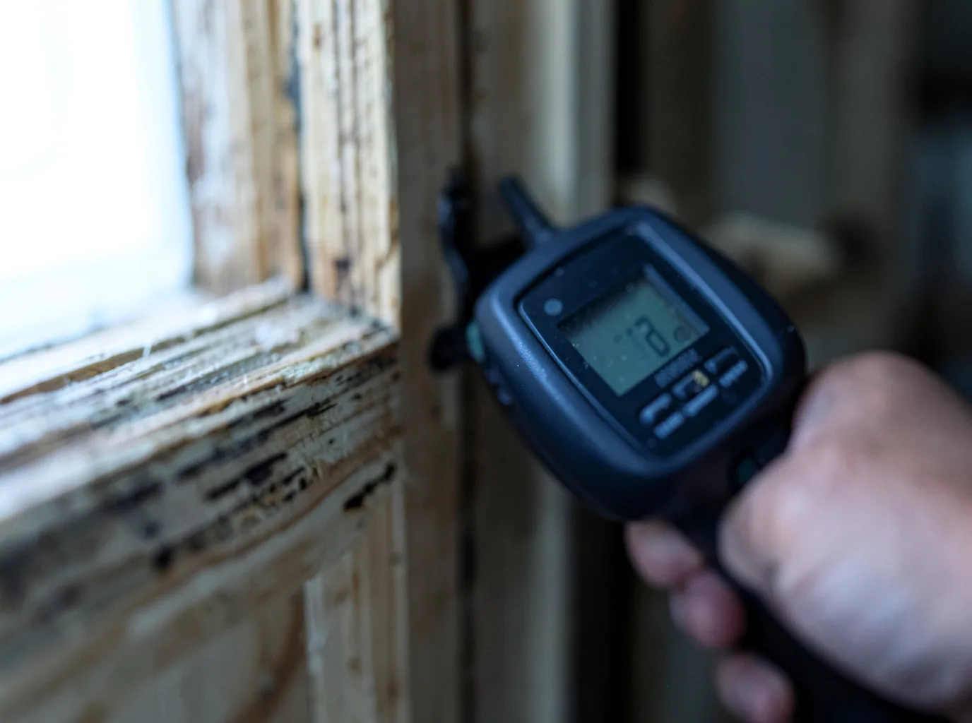 Moisture Inspection And Documentation in Big Lake, AK